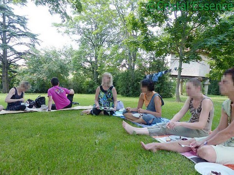 Repas à l'extérieur